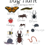 Bugs That Start With T