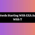 Words That Start With Exa