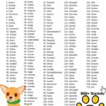 Boy Dog Names That Start With G