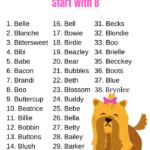Girl Dog Names Start With B