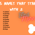 Male Dog Names That Start With Z