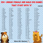 Girl Dog Names That Start With H
