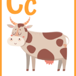 Words That Start With Cow