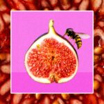 Do Figs Start With A Wasp Inside
