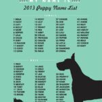 Unique Male Dog Names That Start With D