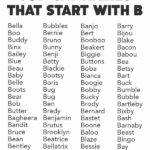 Boy Cat Names That Start With B