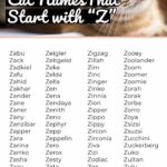 Pet Names That Start With Z
