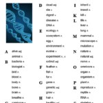 Biology Words That Start With N