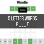 5 Letter Words That Start With P And End With T